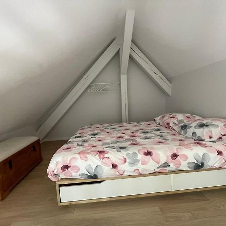 A L'Ombre Du Figuier Apartman Horbourg Kültér fotó