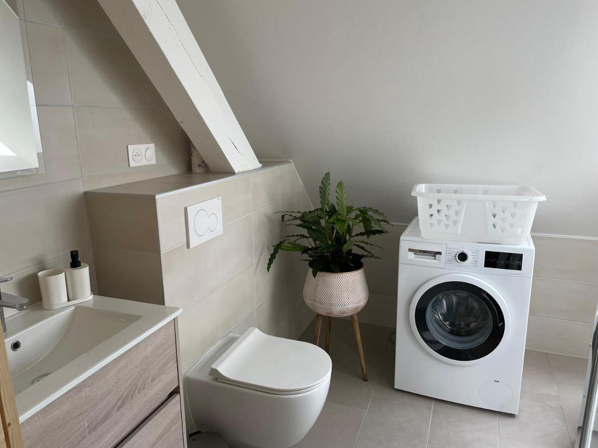 A L'Ombre Du Figuier Apartman Horbourg Kültér fotó