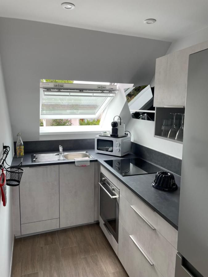 A L'Ombre Du Figuier Apartman Horbourg Kültér fotó